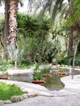 Another water feature of the Hort del Elche.  We could hear some strange chirping noises from it but did not see what was making the noises despite a good look around.  Maybe we don't want to know!  Otherwise a great place to visit.