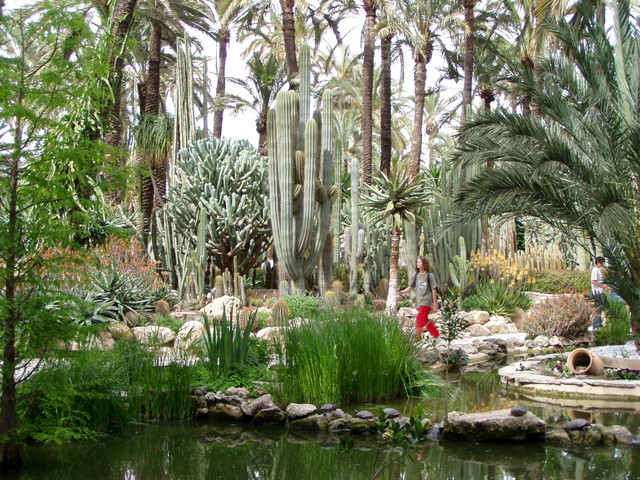 Some of the cacti are huge, you get some idea of the scale thanks to mystery tourist #1.