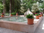 A very serene water feature at the Hort del Elche.