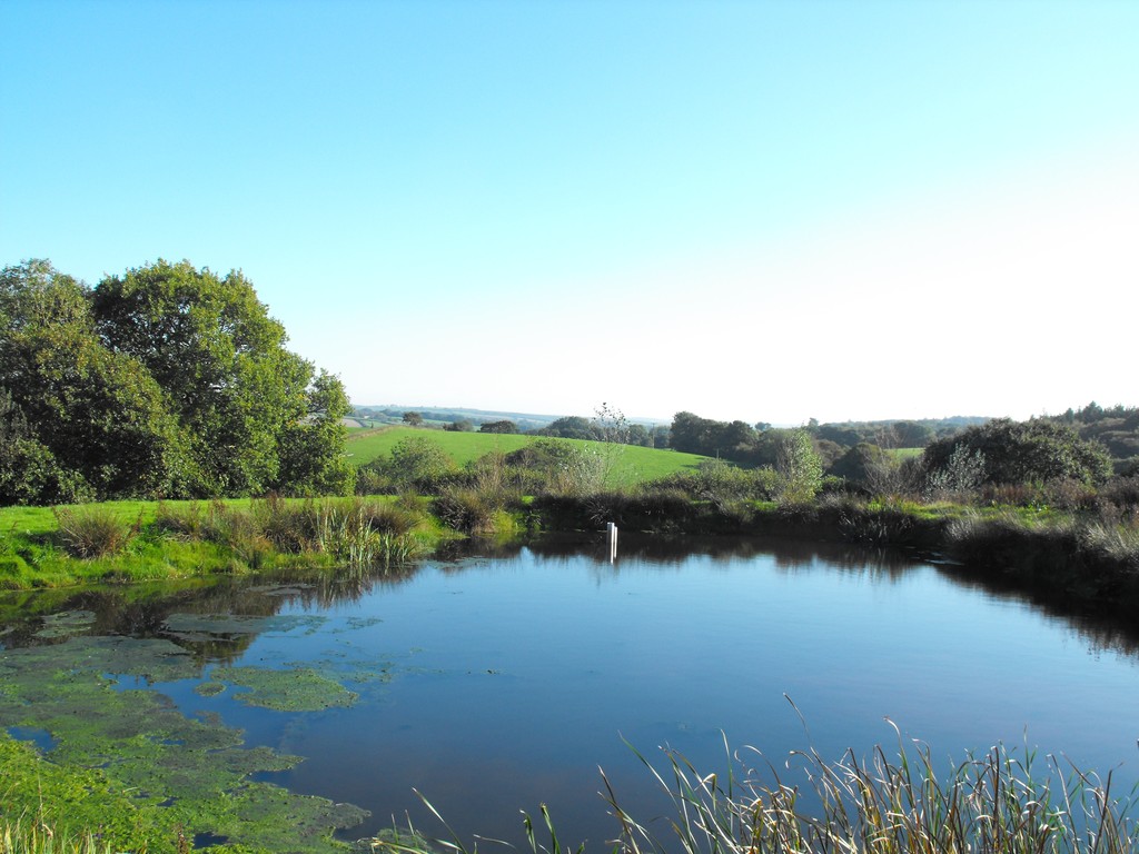 View across the lake