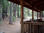 A view of the woods surrounding the cabin.