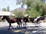 We actually went on a carriage ride this time! It was great fun, even Rod enjoyed it....