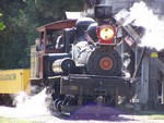 We decided to drive south of San Jose to Santa Cruz and turned off to visit the Roaring Camp historic railroad museum. Here is one of the steam trains in action: