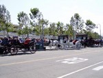 This is also at Fisherman's Wharf, you can take scenic tours by horse and carriage (we didn't but maybe next time says Karen).