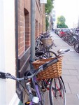 Another essential photo that typifies Cambridge, there are Bicycles everywhere!!!  And lots of them being ridden around not just the city centre.  You have to watch your step when crossing city centre streets, you might get mown down by a cyclist if not careful.  You can hear very old bikes coming though...!