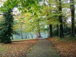 A pathway in the park.