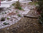 Snow on the front garden, Feb 05.