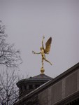 In the middle of 'building nowhere' was this ostentatious gold statue, atop the Museum of Brussels we think.  Odd.  There was nothing else nearby to say what it was.