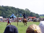 Another combat sport display that involved  hitting the large round end of a revolving target with the lance, with points awarded for the amount of times it would spin around.