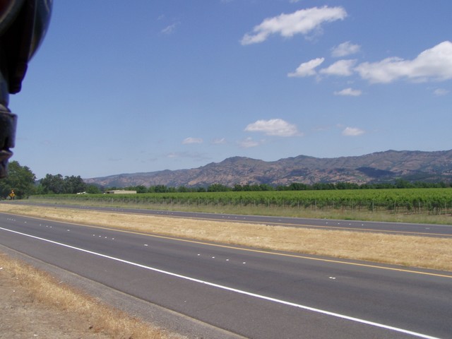 Another view of more grapevines along the route but from the other side of the train, just to make it interesting.