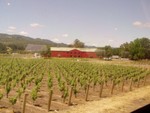 A photo of a quintessential modern-day american Barn (and a few more grapevines of course!).