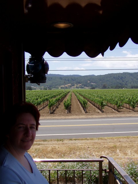 Here is Karen at the end balcony of the train, savouring the view.