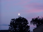 This is a picture the Karen took from our  upstairs window of the night sky.  There were a lot of colours in there as you can see.